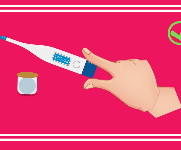 How to Measure Your Dog's Temperature Pets Lifestyle Bhopal