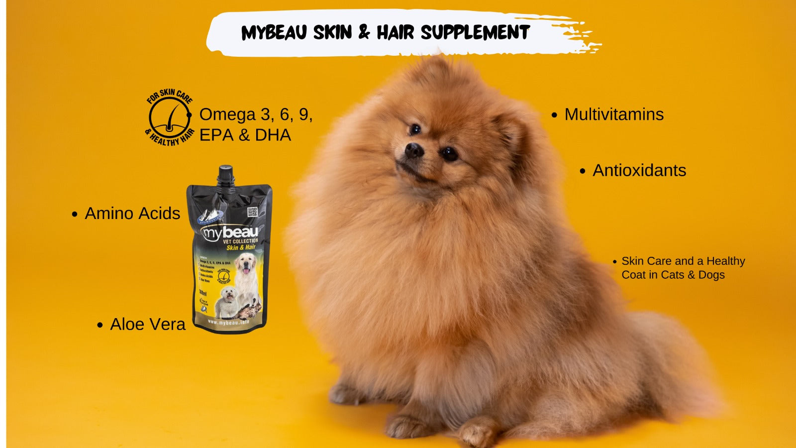 MyBeau Skin & Hair Supplement: A Scientific Approach to Canine Coat Health