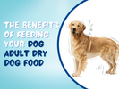 Adult Dry Dog Food