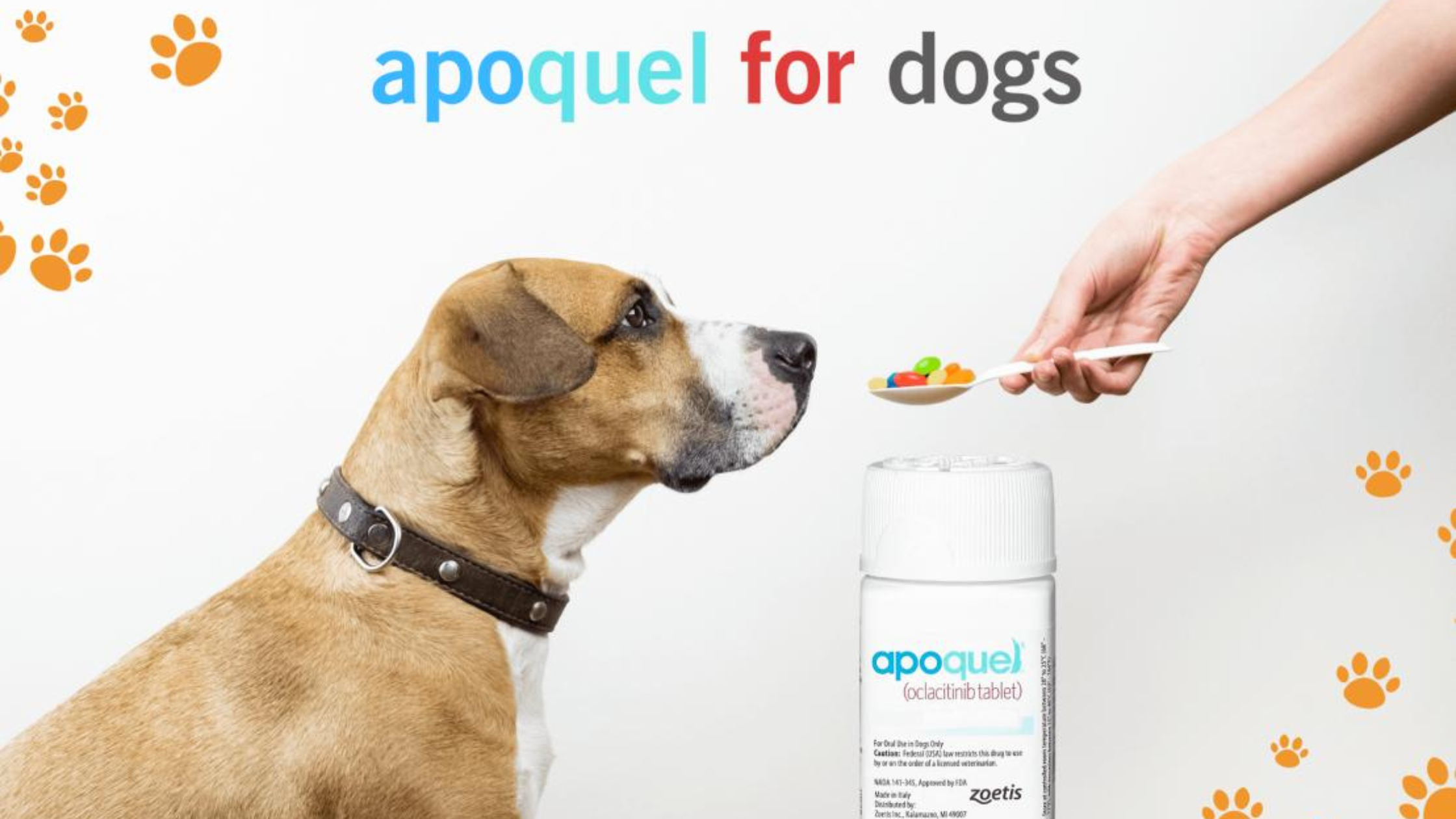 Apoquel for Dogs: