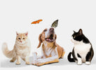 Best Pets for Kids