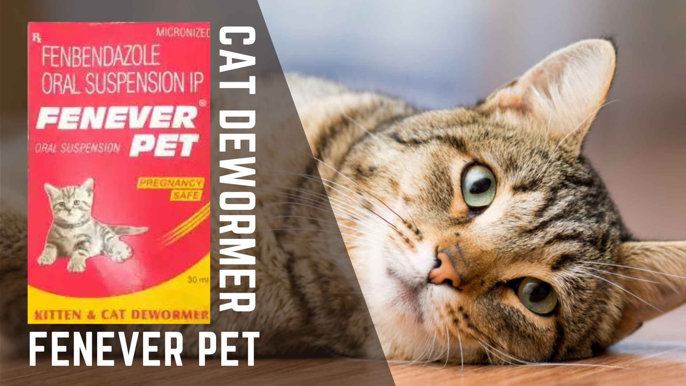 Fenever Pet Oral Suspension