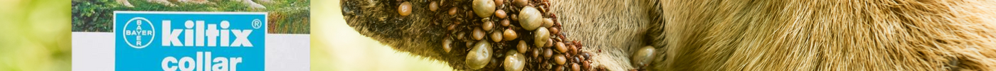 How Bayer Kiltix Tick Collar