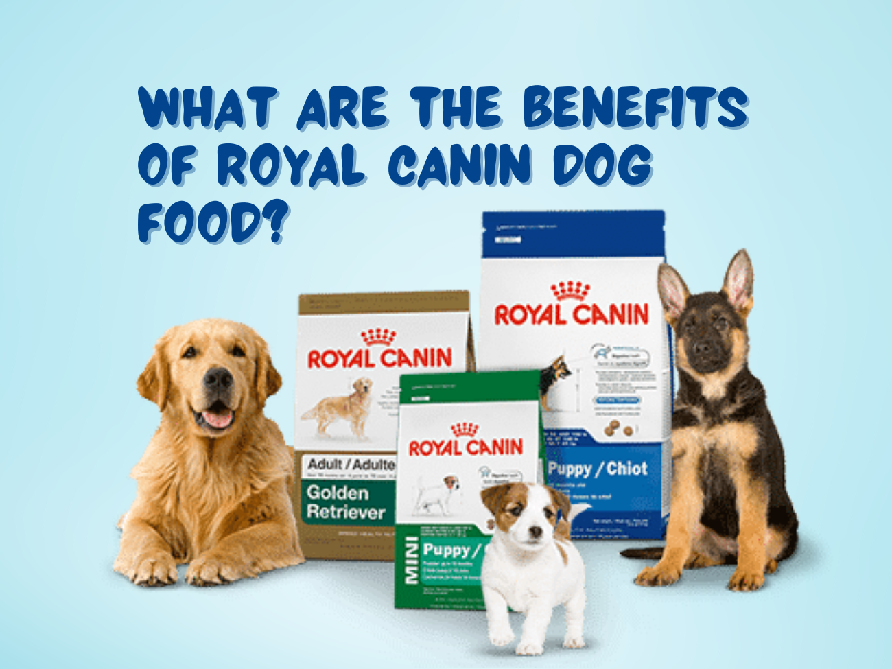 Royal Canin Dog Food