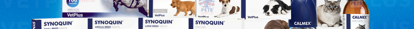 VetPlus nutraceutical range for cats and dogs — Synoquin, Samylin, Calmex and Aktivait packs displayed together