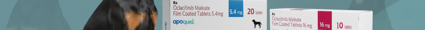 Apoquel® for Dogs – Fast Allergy Relief | Buy Apoquel 5.4 mg &and 16 mg Online in India
