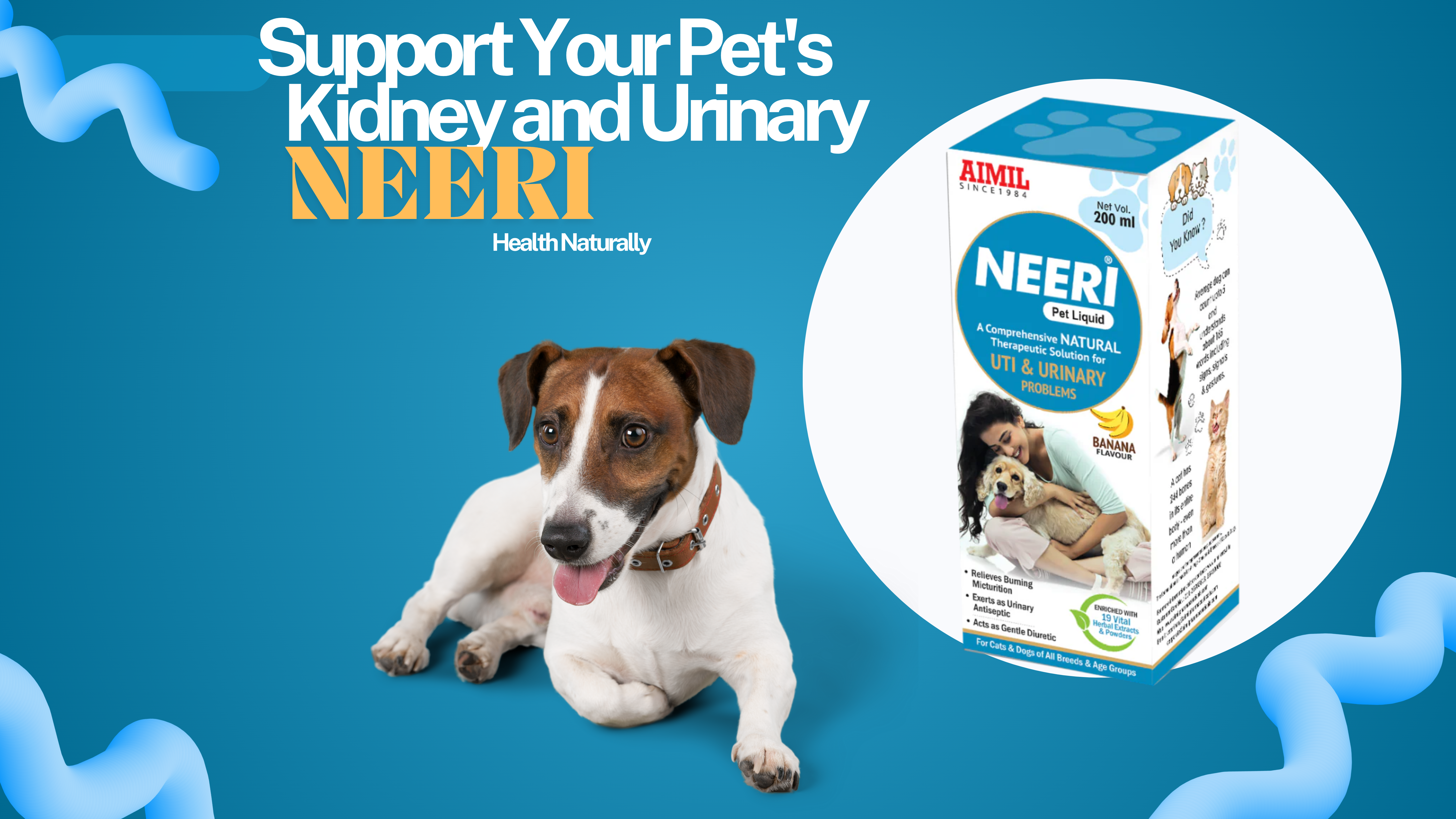 Support Your Pet's Kidney and Urinary Health Naturally with AIMIL NEERI PET LIQUID