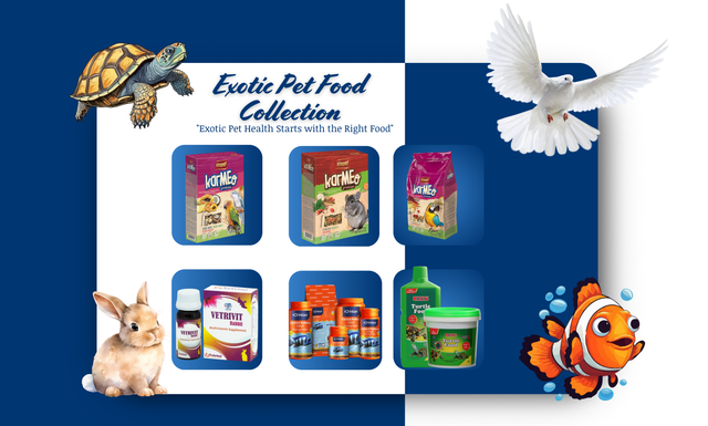 All in One Exotic Pet Collection