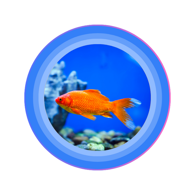 Fish & Turtle Food