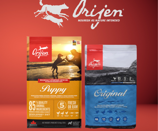 adding.wet.food.to.dry.food.for.dogs Vegetarian Entree Dog Food main image 0