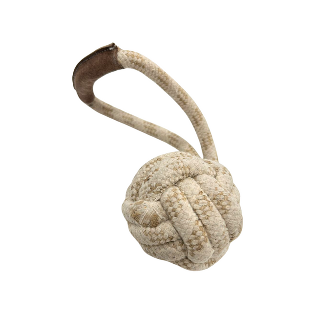 Dog Training Toy