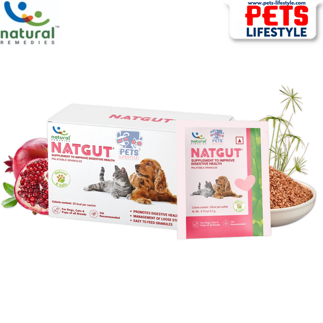 Natural Remedies NATGUT Sachet – Digestive Health Supplement (30 Sachets)
