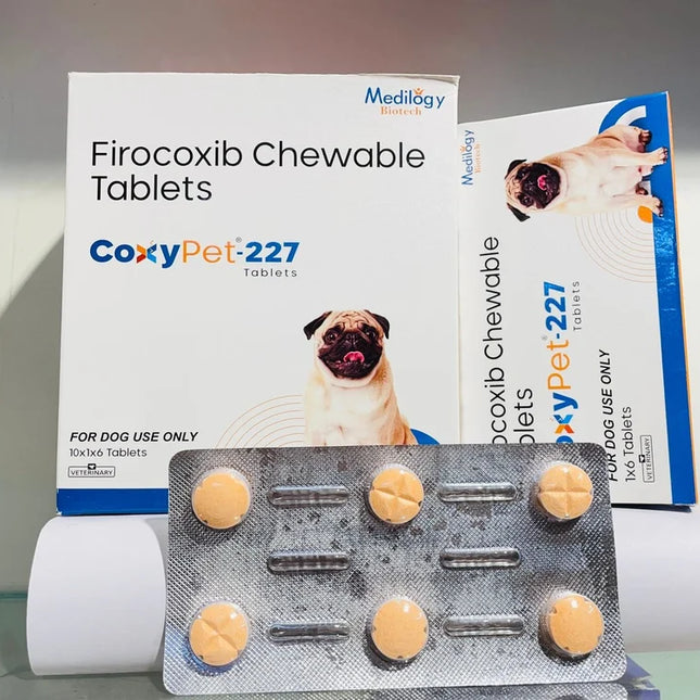 CoxyPet-227