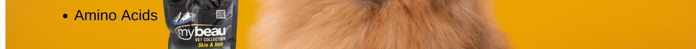MyBeau Skin & Hair Supplement: A Scientific Approach to Canine Coat Health