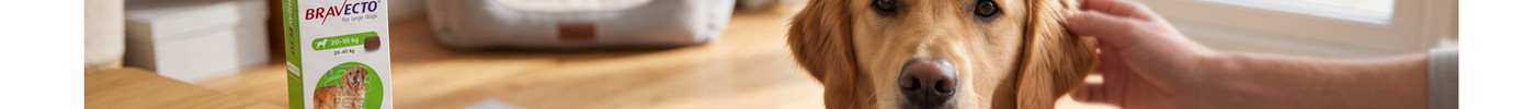dog still has fleas after bravecto treatment India