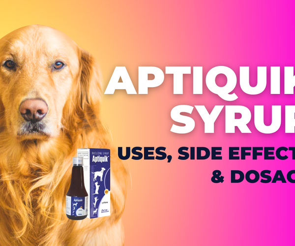 Aptiquik Syrup: Uses, Benefits, and Safety Guide for Your Pet's Health