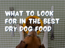 Best Dry Dog Food