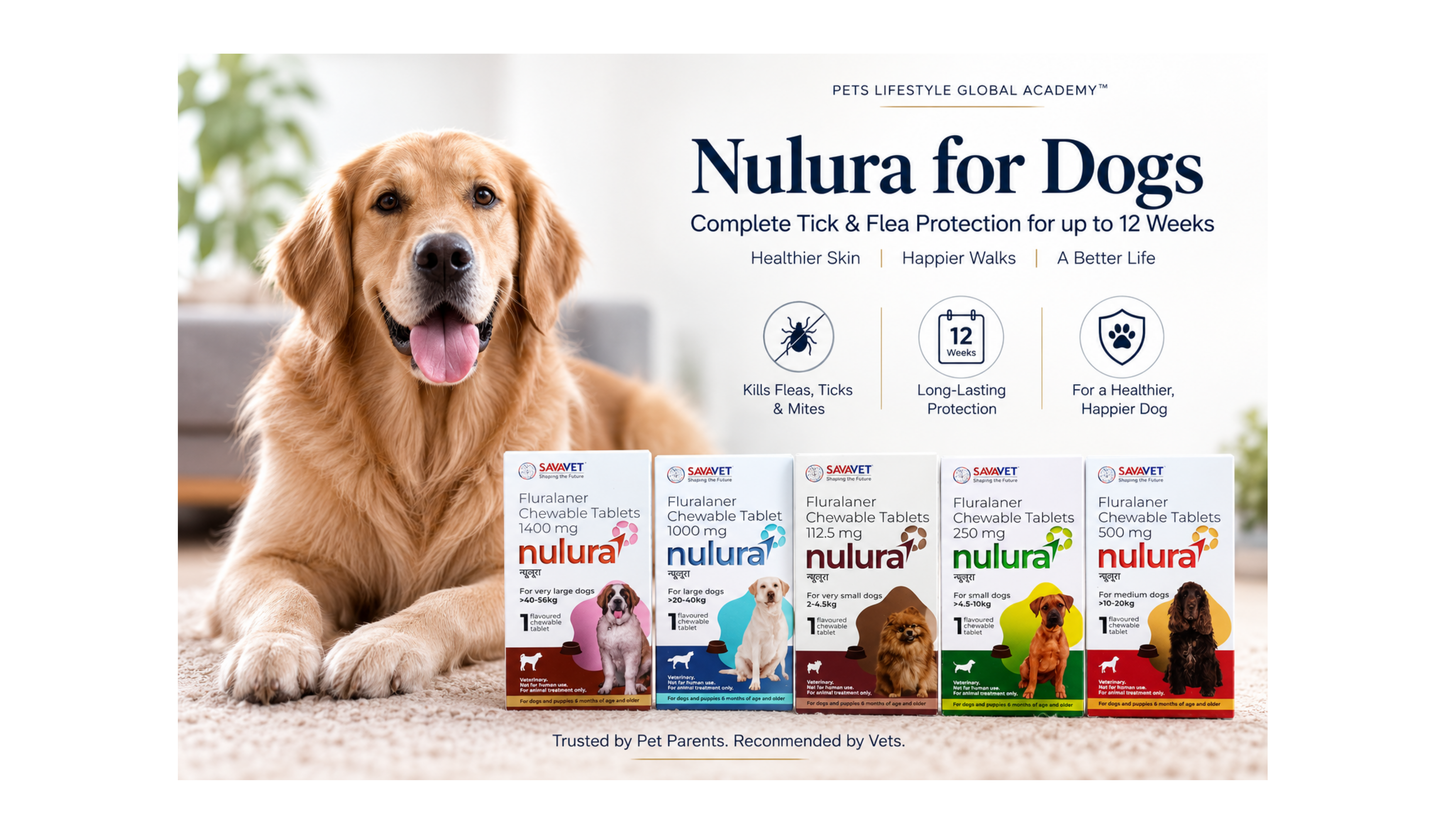 nulura tablets for dogs dosage safety India