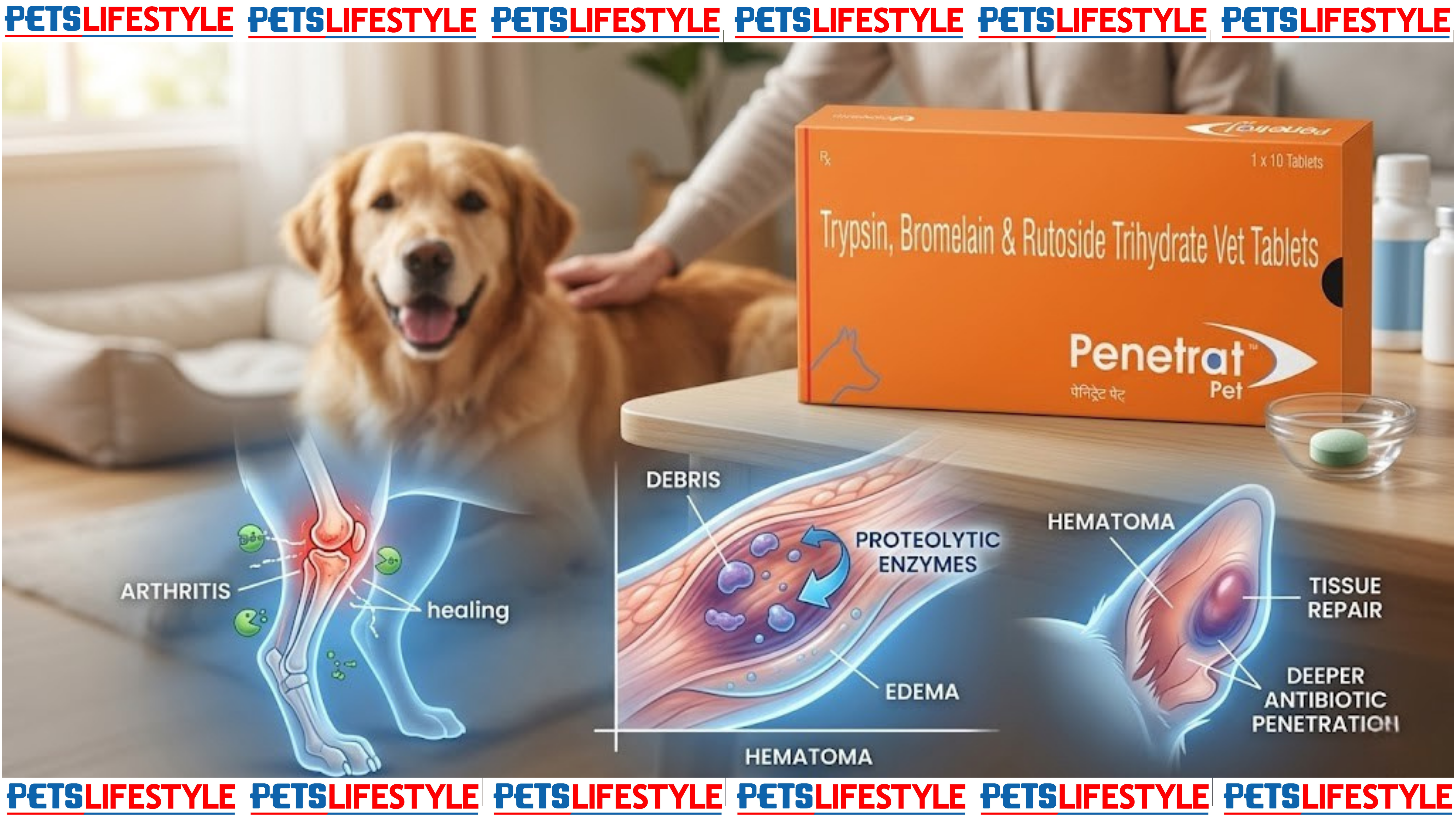 Penetrat Pet Tablets for Dogs – Complete Guide to Uses, Benefits, Dosage & Recovery Support