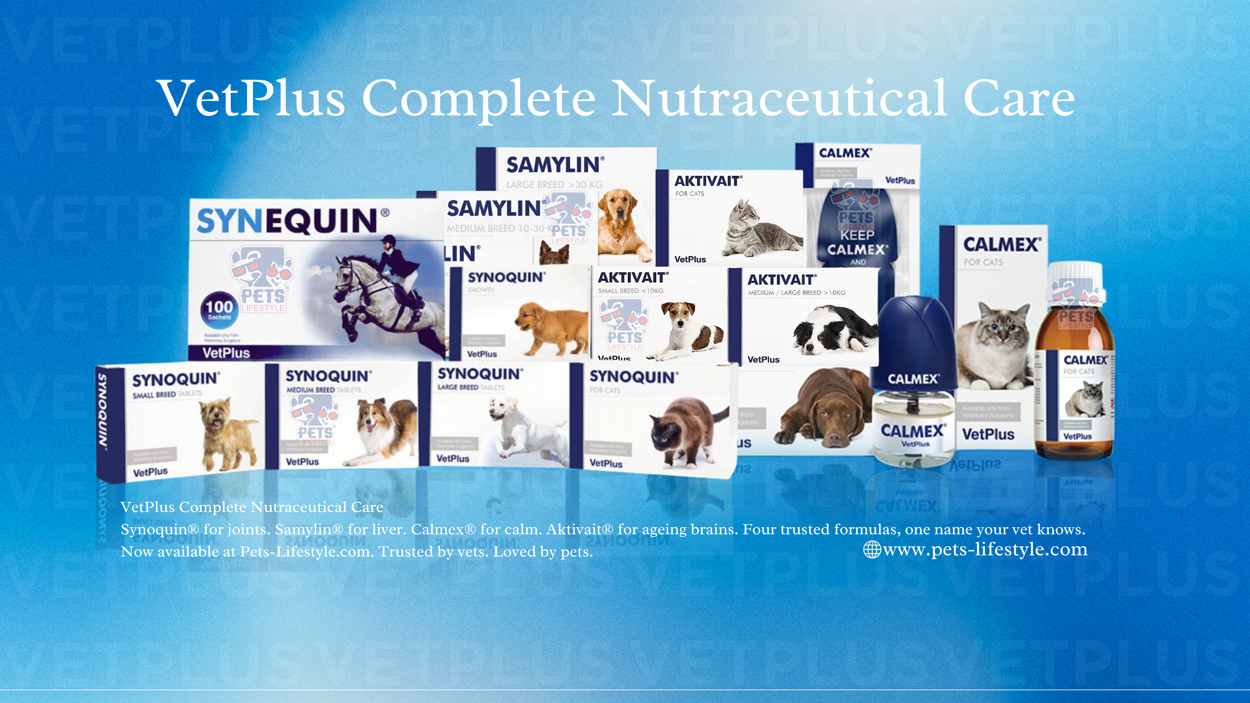 VetPlus nutraceutical range for cats and dogs — Synoquin, Samylin, Calmex and Aktivait packs displayed together