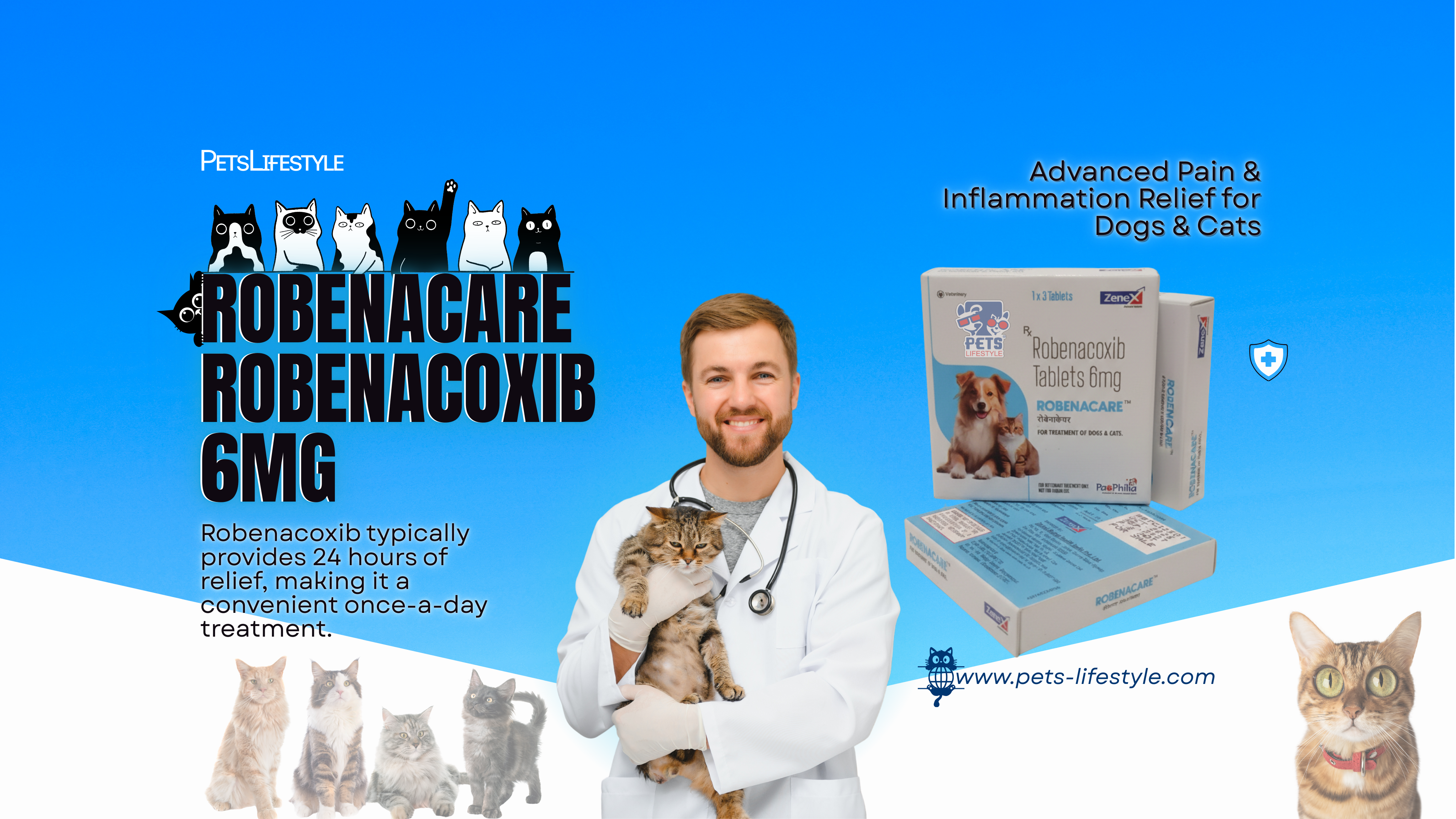 The Silent Sufferers: Understanding Pain Relief Options for Cats