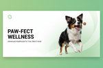 Credelio PLUS for Dogs: Complete Guide to Monthly Tick, Flea, Worm &amp; Heartworm Protection.