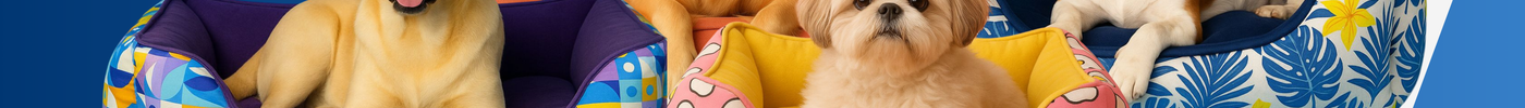 Why Does My Dog Smell Bad?