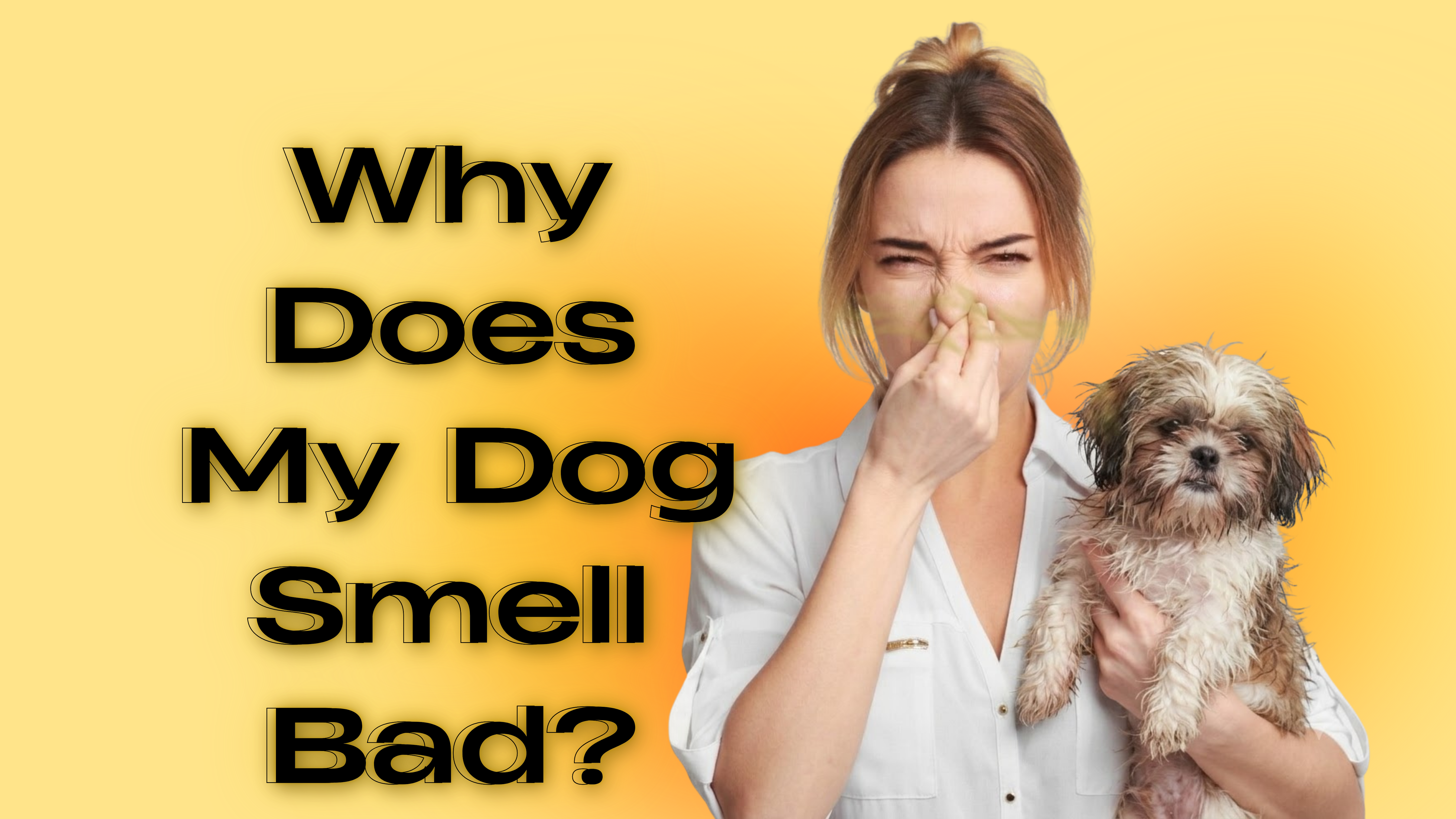 why does my dog smell bad skin infection India