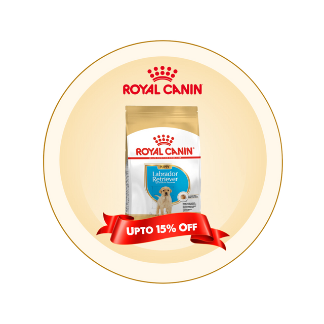 Royal Canin Dog Food