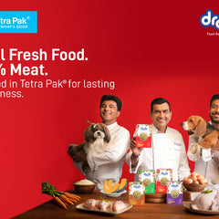 Premium Hydration and Nutrition: Drools Tetra Pack Wet Food