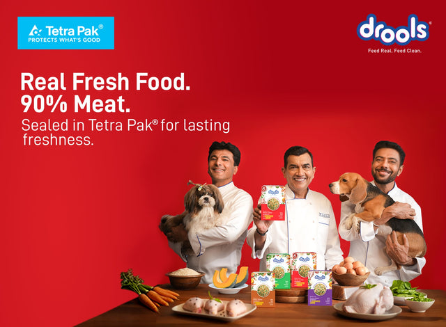 Premium Hydration and Nutrition: Drools Tetra Pack Wet Food