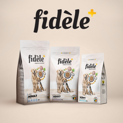 Fidele+