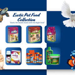 All in One Exotic Pet Collection