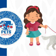 Pets Lifestyle Dogs Food