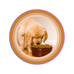 Puppy Food