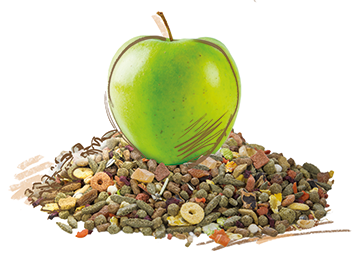 Seed Based Food