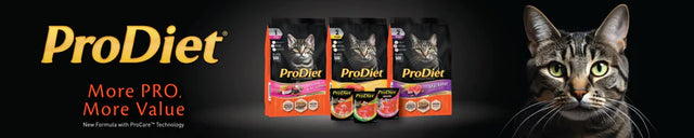 ProDiet cat food, buy cat food online, premium wet cat food pouches, ProDiet kitten food, real seafood cat food, sustainable pet food, Pets Lifestyle.