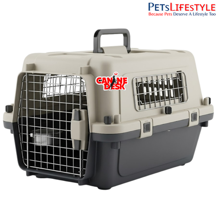 Canine Desk Flight Carrier (19 x 13 x 16 Inches) | IATA Airline Approved Small Dog, Puppy & Kitten Travel Crate