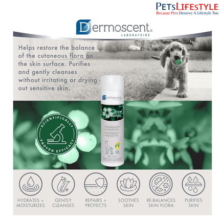 Dermoscent PYOclean Shampoo for Dogs – Purifying Anti-Pyoderma Skin Care Shampoo (200 ml)