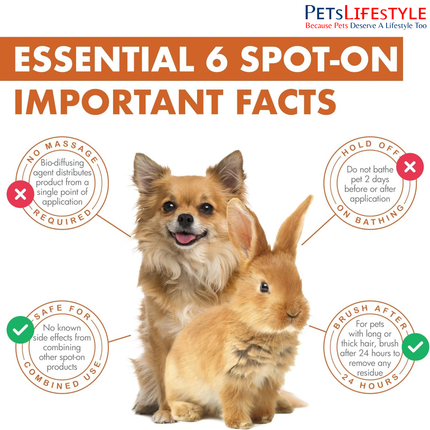 Savavet Dermoscent Essential 6 Spot-On for Dogs and Cats Between 0 to 10kg Skin & Coat Care