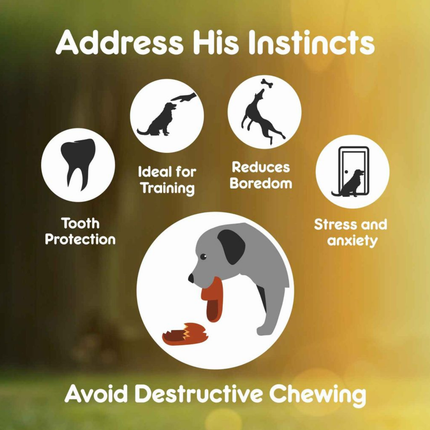 Purepet Chew Bone 6 Inch For Dogs