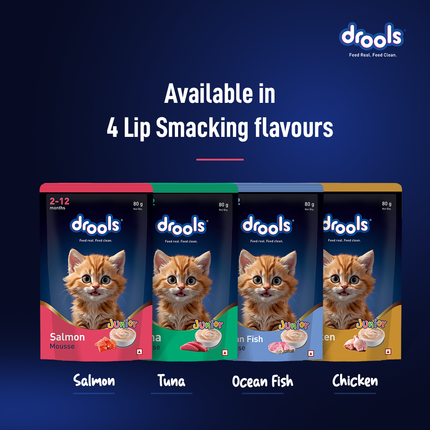 Drools Salmon Mousse Kitten 80g (5+1 Pack)