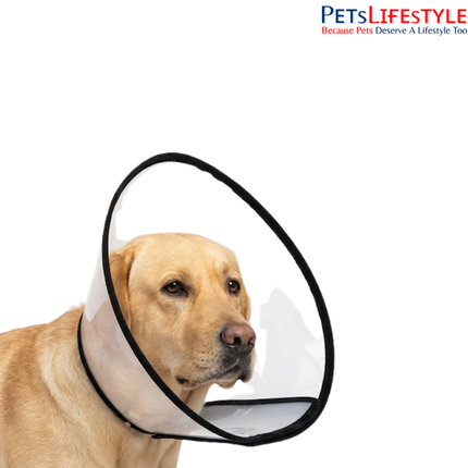 Elizabethan Collar for Dogs, Cats & Rabbits – Protective Recovery Cone (E-Collar)