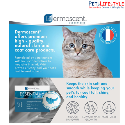 Savavet Dermoscent Essential 6 Spot-On for Cats Skin & Coat Care