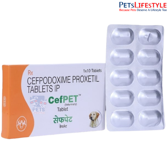 Cefpet Tablet 100mg for Dogs & Cats — Cefpodoxime Antibiotic by Intas