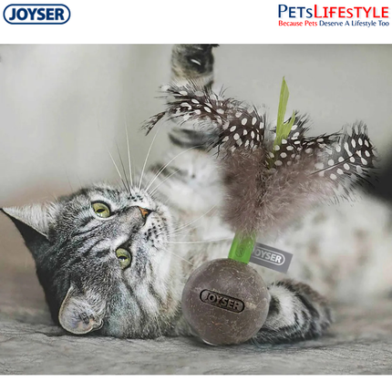 JOYSER Catnip Ball with Feather – Brown/Green | Interactive Cat Toy