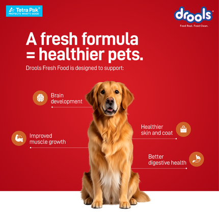 Drools Tetra Pack Real Chicken Pumpkin Wet Dog Food