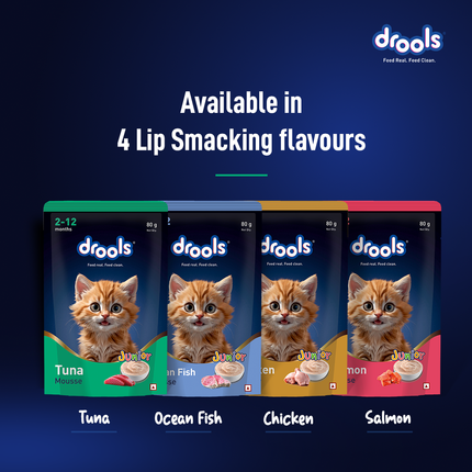 Drools Tuna Mousse Kitten 80g (5+1 Pack)