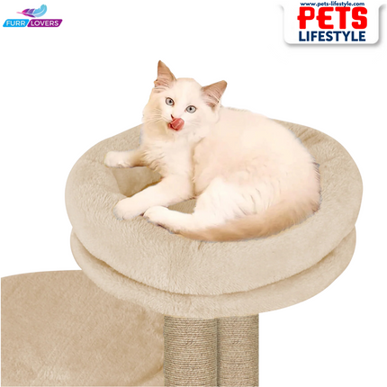 Canine Desk Cozy Cat Tree with Scratching Posts, Platforms and Dangling Toy