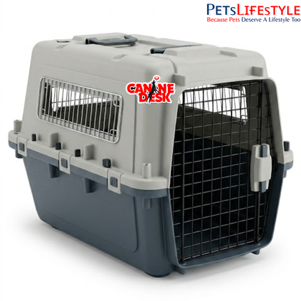 Canine Desk Flight Carrier (24" × 14" × 16") | IATA Approved Airline Travel Crate for Dogs & Cats (Medium)